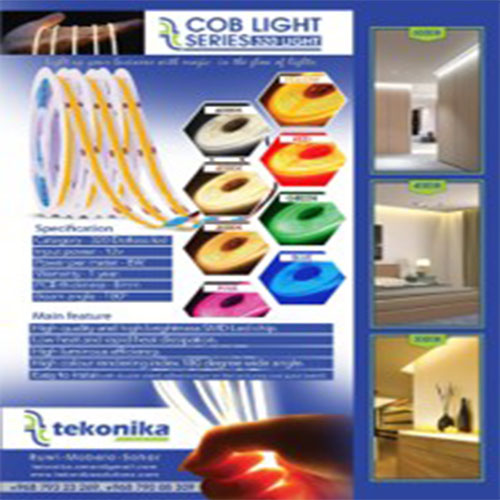 COB Light (10m)